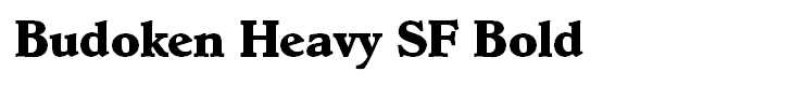 Budoken Heavy SF Bold