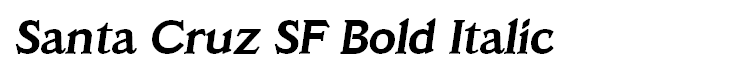 Santa Cruz SF Bold Italic