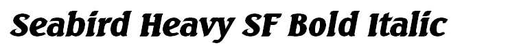 Seabird Heavy SF Bold Italic