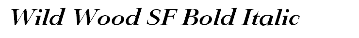 Wild Wood SF Bold Italic
