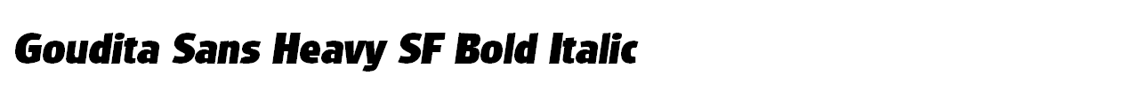 Goudita Sans Heavy SF Bold Italic